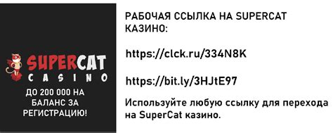 Казино supercat личный кабинет