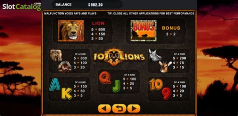 101 Lions Bodog