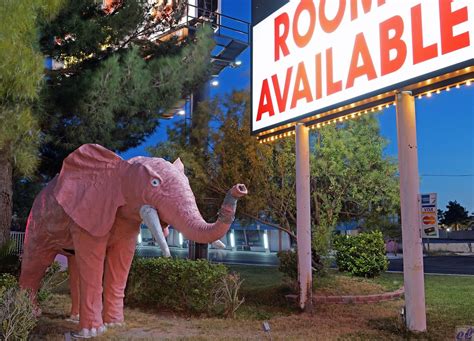 A Pink Elephant Casino