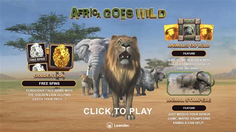 Africa Goes Wild Review 2024