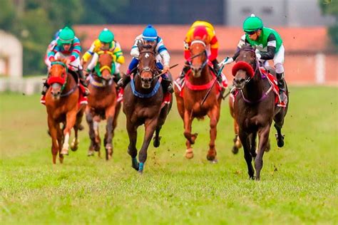 Apostas Em Corridas De Cavalos Petropolis