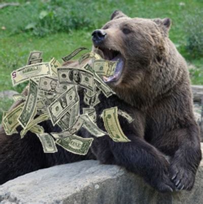 Bear Money Blaze
