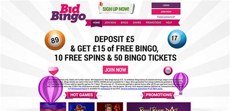 Bid Bingo Casino Belize