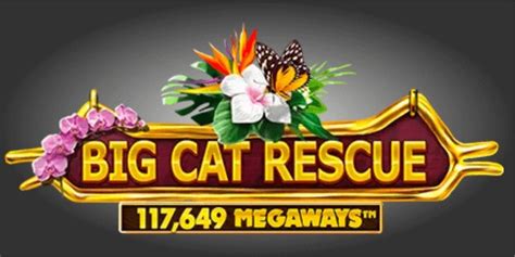 Big Cat Rescue Megaways Review 2024