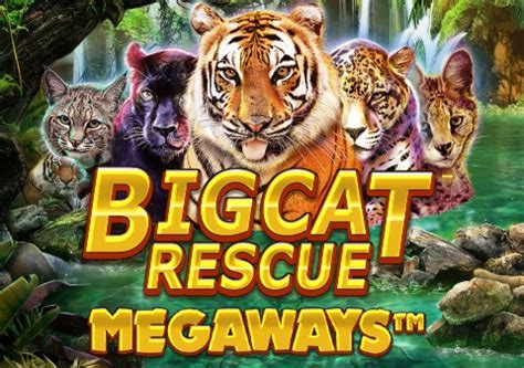 Big Cat Rescue Megaways Slot - Play Online