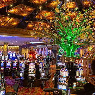 Black Oak Casino De Jantar