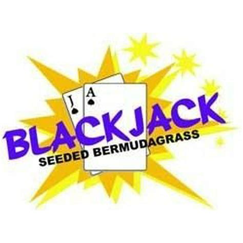 Blackjack Bermuda Sementes