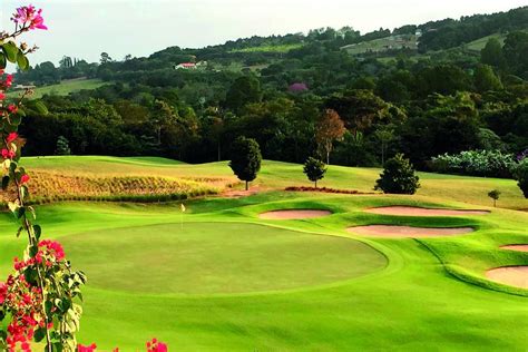 Blackjack Campo De Golfe