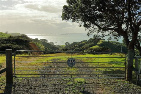 Blackjack Estrada Coromandel