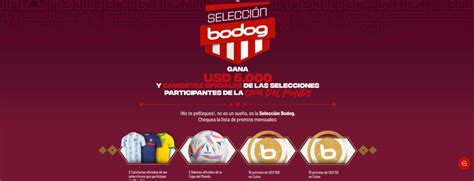 Bodog Brasilia