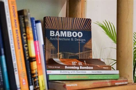 Book Of Bamboo Netbet