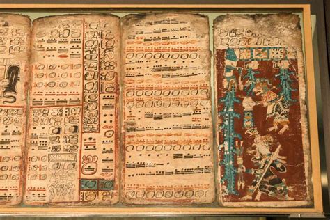 Book Of Maya 1xbet