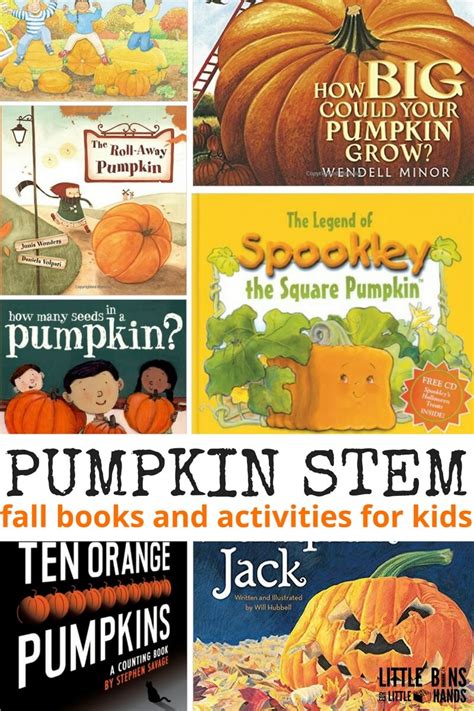 Book Of Pumpkin Bet365
