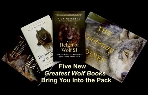 Book Of Wolves Bodog
