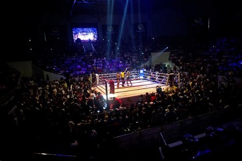 Boxing Arena Bodog