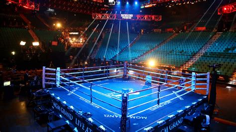 Boxing Arena Novibet