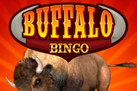 Buffalo Bingo Novibet