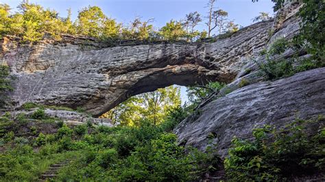 Buffalo Canyon Brabet