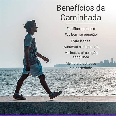 Caminhadas Avalon Vinte E Um