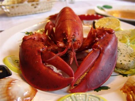 Casino Tudo O Que Voce Pode Comer Lagosta