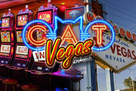 Cat In Vegas Sportingbet