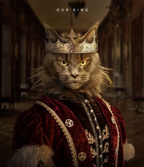 Cats Royal Betfair