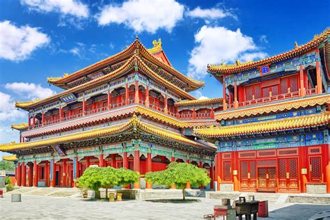 China Temple Sportingbet