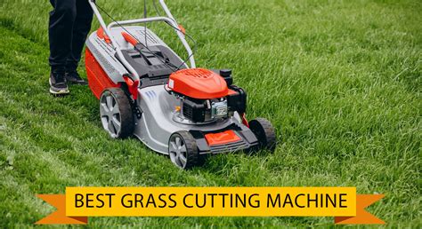 Cut The Grass Review 2024