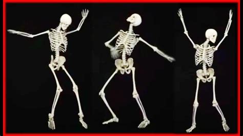 Dancing Bones Betfair