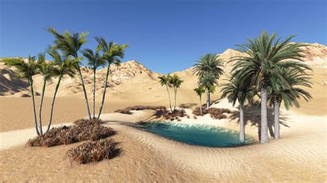Desert Oasis Bwin