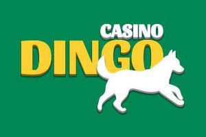 Dingo Casino Argentina