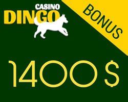 Dingo Casino Nicaragua