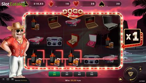 Dogo Fortune Review 2024