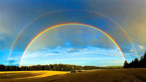 Double Rainbow Sportingbet
