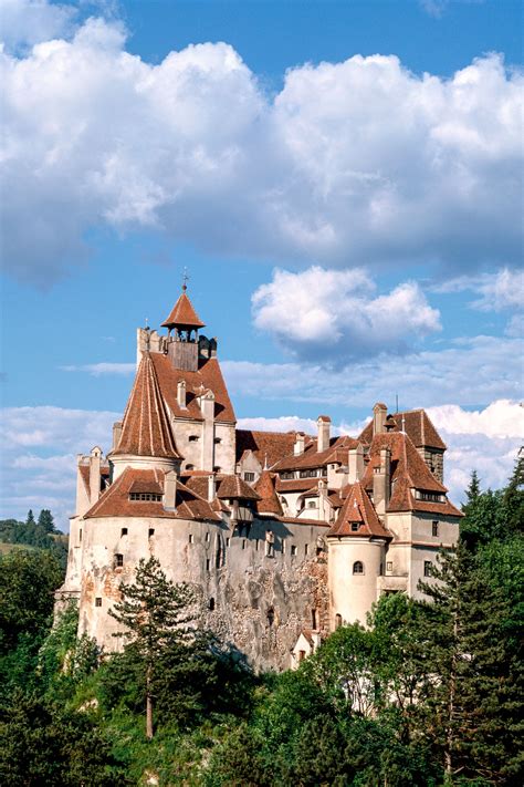 Dracula S Castle Brabet