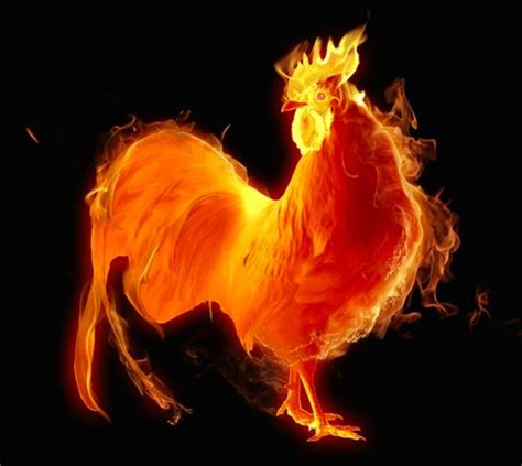 Fire Rooster Blaze