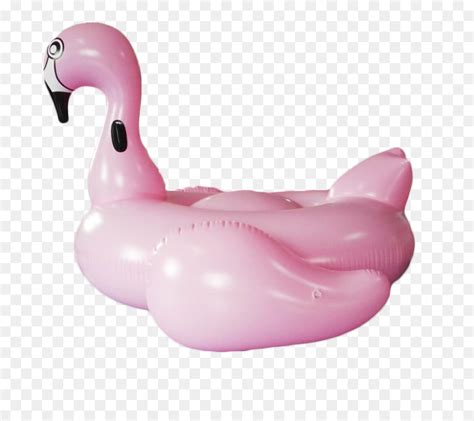 Flamingo Nadar Ate O Blackjack