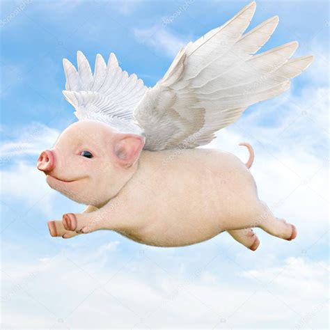 Flying Pigs Brabet