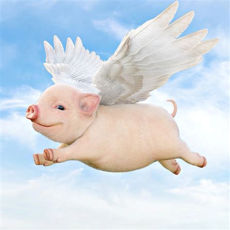 Flying Pigs Bwin