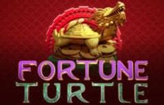 Fortune Turtle Blaze