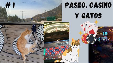 Gatos Casino