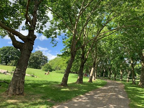 Gladstone Park Poker