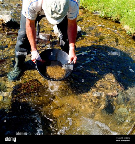 Gold Panning Novibet