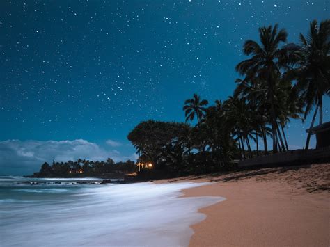 Hawaiian Night Betsson