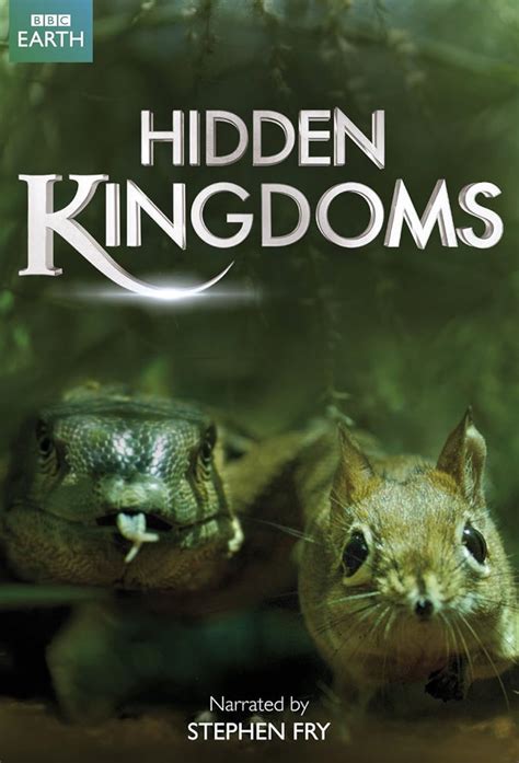 Hidden Kingdom Betfair