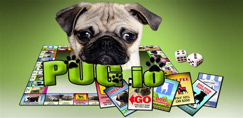 Jogo Pug