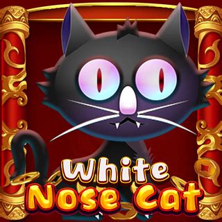 Jogue White Nose Cat Online