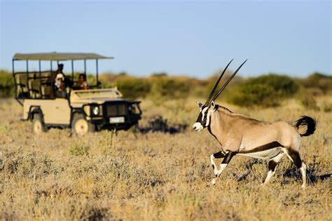 Kalahari Safari Sportingbet
