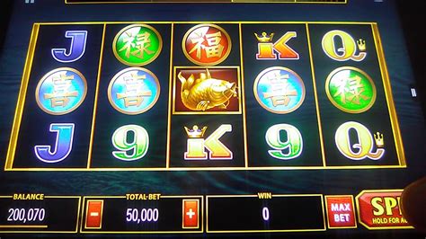 Koi Cash Bodog