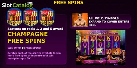 Ladies Night Out Slots